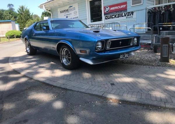 Mustang MACH-1 image