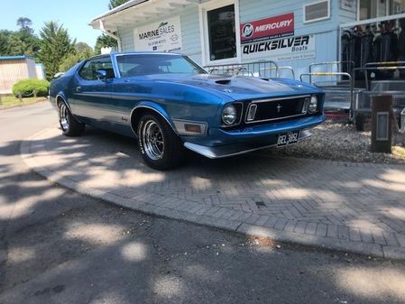 Mustang MACH-1 image