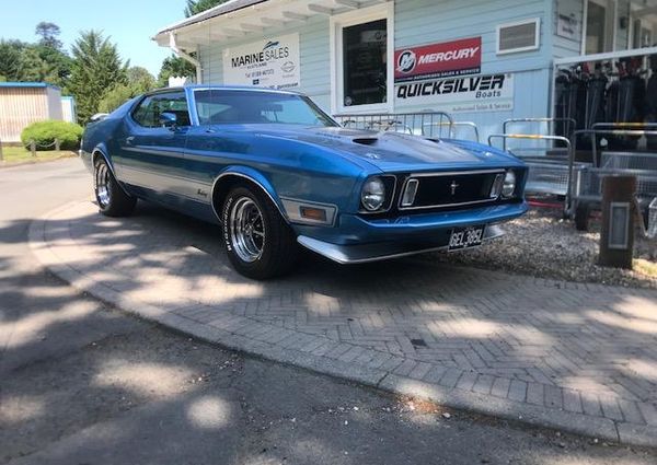 Mustang MACH-1 image