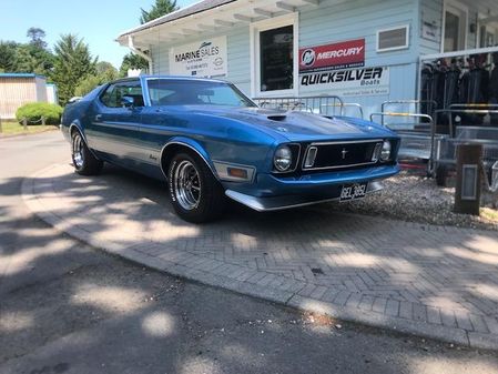 Mustang MACH-1 image