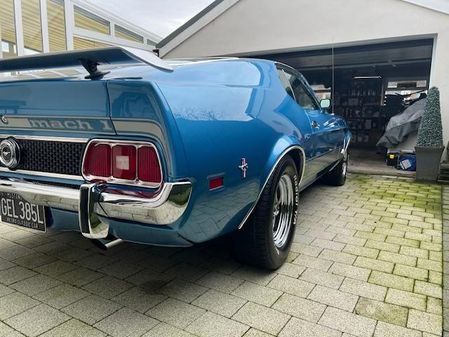 Mustang MACH-1 image