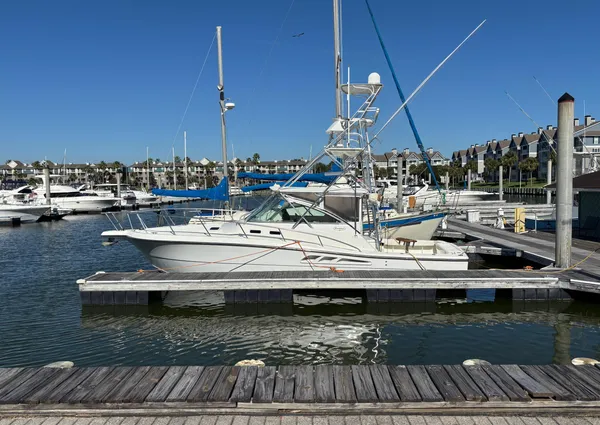 Rampage 38-EXPRESS image