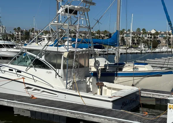 Rampage 38-EXPRESS image