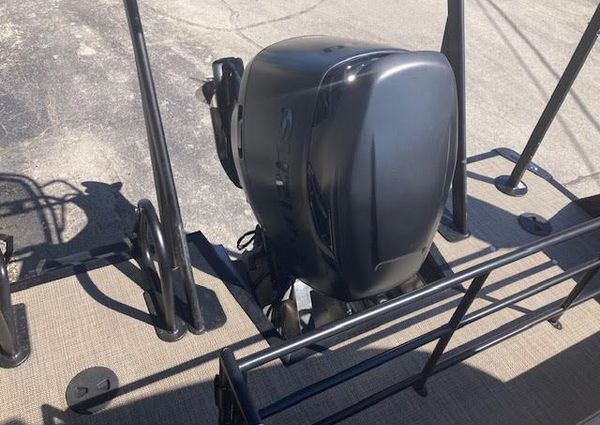 Viaggio D24-SWING-BACK image