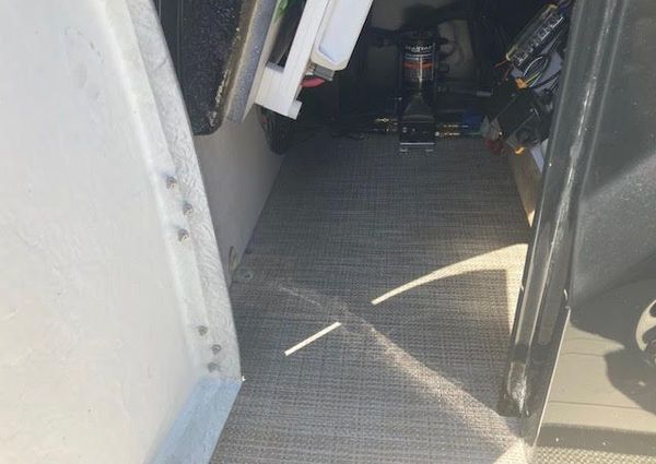 Viaggio D24-SWING-BACK image