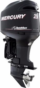 Mercury OptiMax 250 hp image