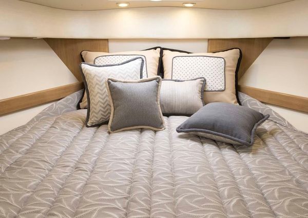 Formula 37-PERFORMANCE-CRUISER image