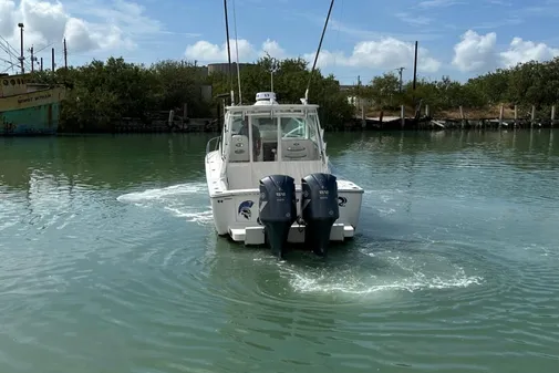 Albemarle Express image