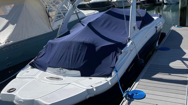 Cruisers 278