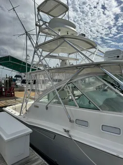 Cabo 35 Express image