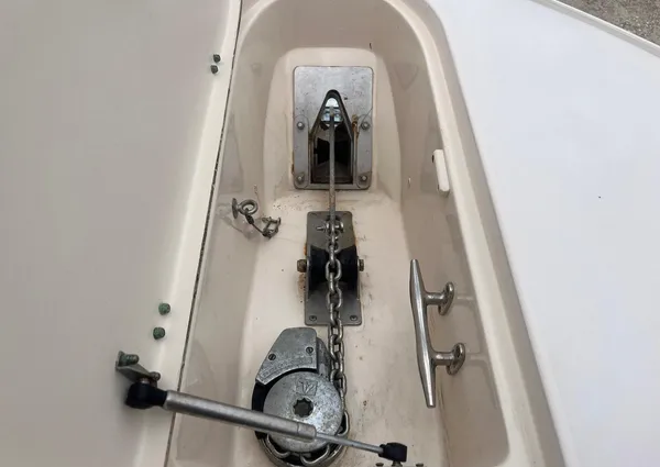 Grady-White Bimini 306 image