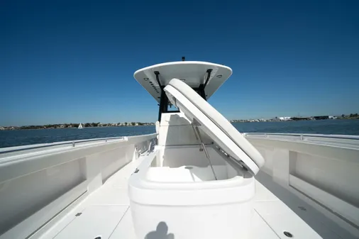 Invincible 35 Catamaran image