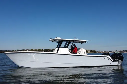 Invincible 35 Catamaran image
