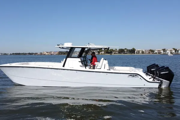 Invincible 35 Catamaran image
