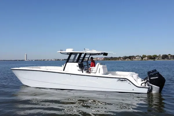 Invincible 35 Catamaran image