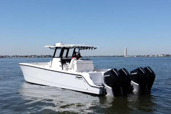 Invincible 35 Catamaran image