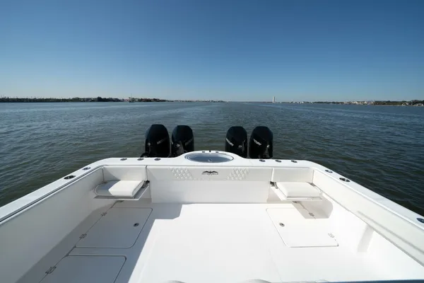 Invincible 35 Catamaran image