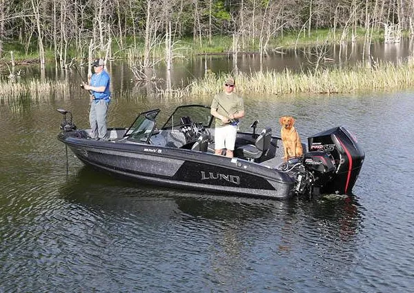 Lund 189-PRO-V-GL image