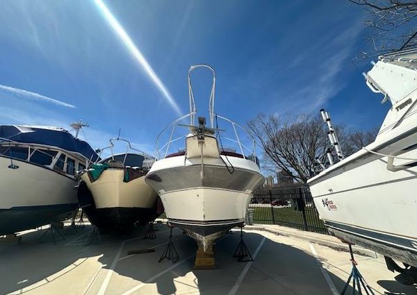 Carver 2767-SANTEGO image