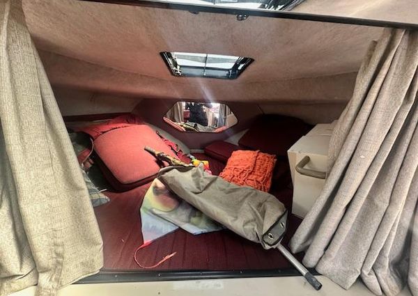 Carver 2767-SANTEGO image