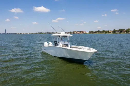 Cape Horn 31 T image