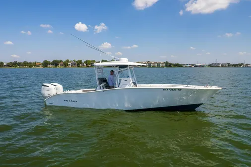 Cape Horn 31 T image