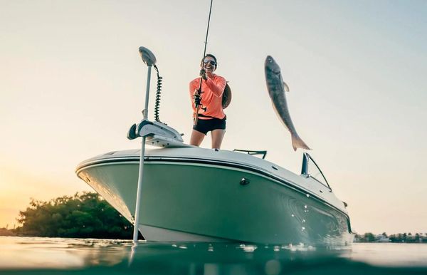 2026 Bayliner Trophy T22SC