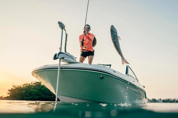 Bayliner TROPHY-T22SC - main image