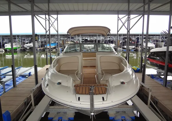 Sea Ray 240 Sundeck image