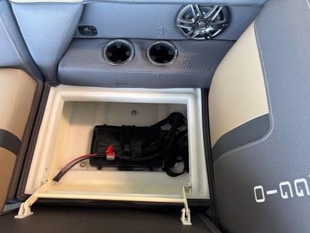 Viaggio X20F-LUXURY-FISH-N-FUN image