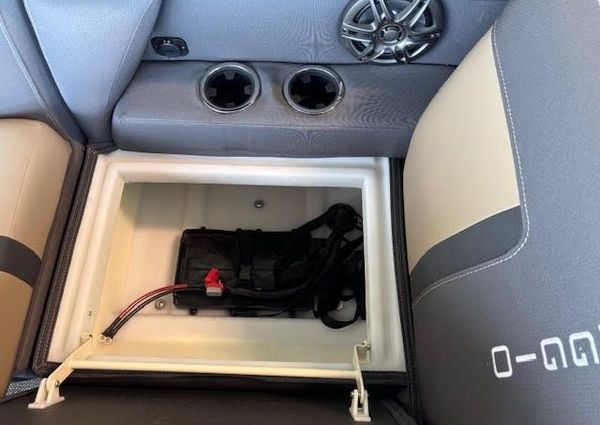 Viaggio X20F-LUXURY-FISH-N-FUN image