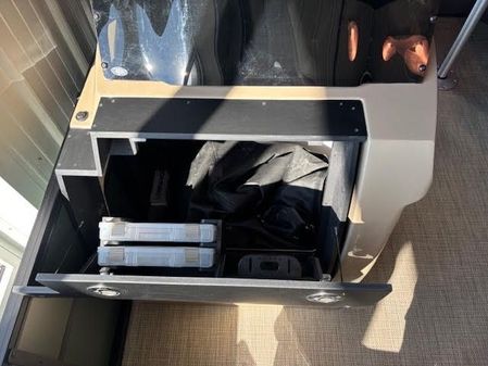 Viaggio X20F-LUXURY-FISH-N-FUN image