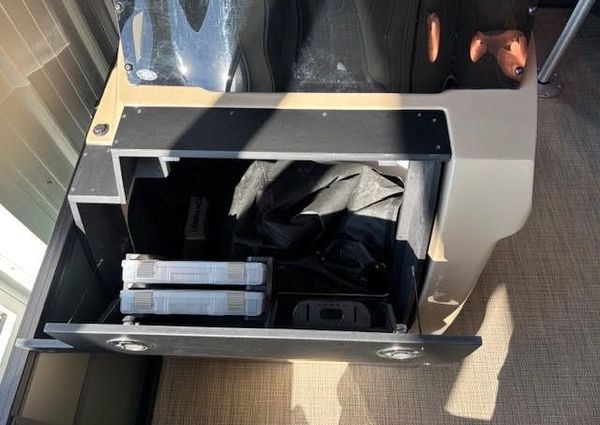 Viaggio X20F-LUXURY-FISH-N-FUN image