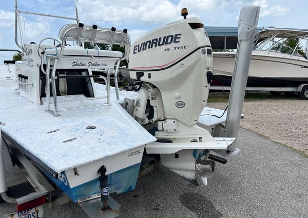 Shallow-stalker V20 image