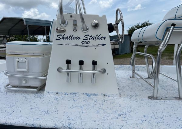 Shallow-stalker V20 image