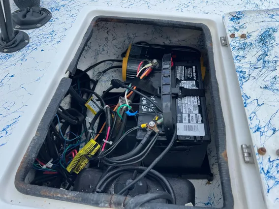 Shallow-stalker V20 image