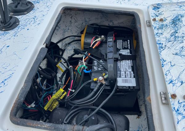 Shallow-stalker V20 image