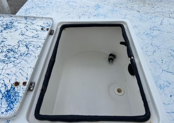 Shallow-stalker V20 image