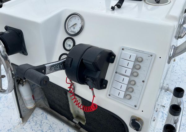 Shallow-stalker V20 image