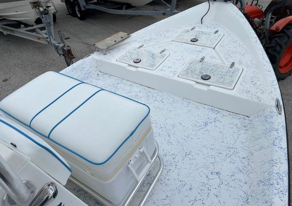 Shallow-stalker V20 image