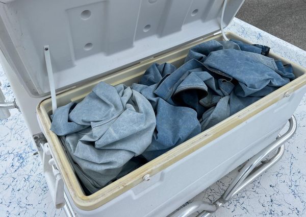 Shallow-stalker V20 image