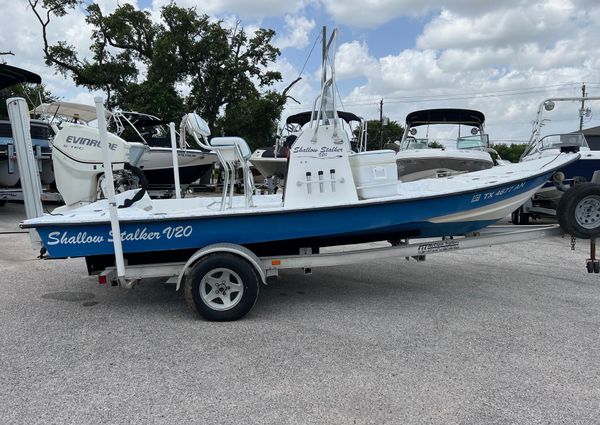 Shallow-stalker V20 image