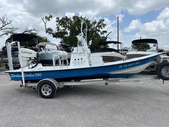 Shallow-stalker V20 image