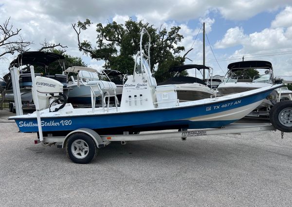 Shallow-stalker V20 image