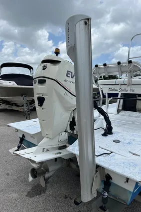 Shallow-stalker V20 image