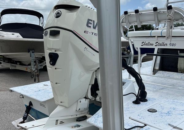 Shallow-stalker V20 image