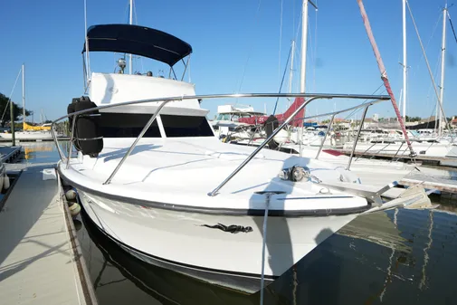 Viking 33 image