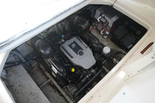 Bayliner 2855 Ciera image