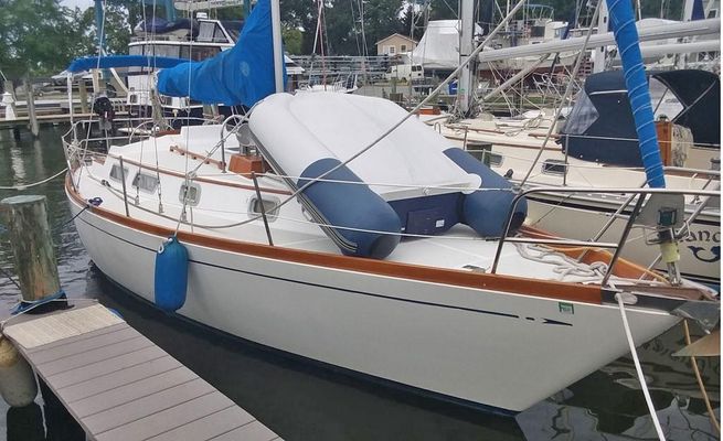 Bristol 33 - main image