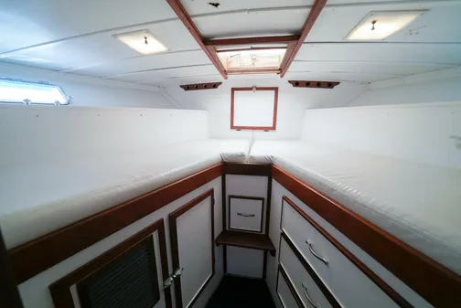 Trojan 45 Convertible image